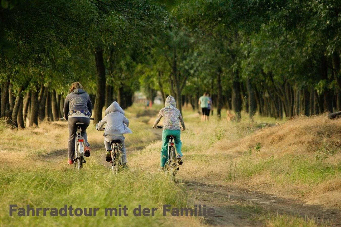 "Lilie" In Geestland-Langen, Ideal Fuer Familien & Homeoffice - Wlan & Parkplatz - 3 Zimmer, Balkon - Nahe Bremerhaven Εξωτερικό φωτογραφία